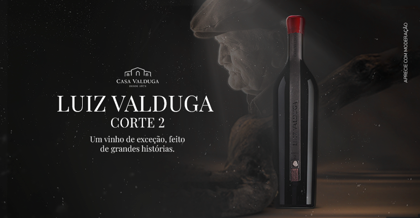 Luiz Valduga (828x430)